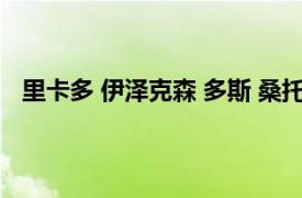 里卡多 伊泽克森 多斯 桑托斯 雷特（埃利泽多斯桑托斯）