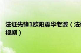 法证先锋1欧阳震华老婆（法证先锋 2006年欧阳震华主演TVB电视剧）