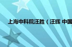 上海中科院汪胜（汪辉 中国科学院上海高等研究院研究员）