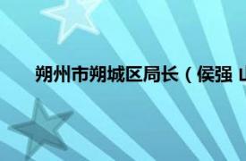 朔州市朔城区局长（侯强 山西省朔州市统计局城调队长）