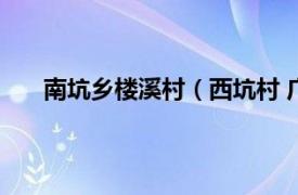 南坑乡楼溪村（西坑村 广东省潮州市磷溪镇下辖村）