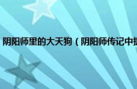 阴阳师里的大天狗（阴阳师传记中捉弄大天狗呱的是谁相关内容简介介绍）