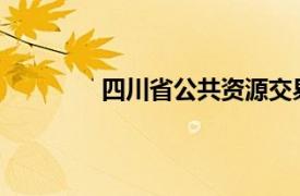 四川省公共资源交易服务中心权力有多大