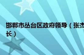 邯郸市丛台区政府领导（张杰 河北省邯郸市丛台区人民政府副区长）