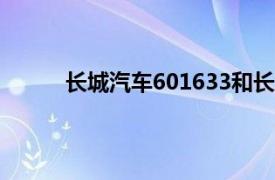 长城汽车601633和长城汽车02333是什么意思