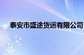 泰安市盛途货运有限公司（泰安市传盛物流有限公司）