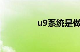 u9系统是做什么的（U9）