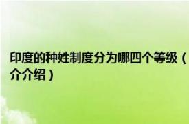 印度的种姓制度分为哪四个等级（印度的种姓制度分哪四个等级相关内容简介介绍）