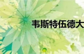 韦斯特伍德大学豪尔机场校区