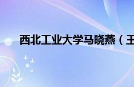 西北工业大学马晓燕（王晓娟 西北工业大学副教授）