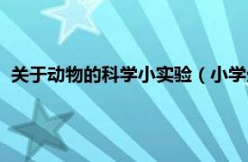 关于动物的科学小实验（小学生经典科学实验大全：动物植物）