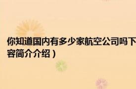 你知道国内有多少家航空公司吗下（国内有多少航空公司分别叫什么相关内容简介介绍）