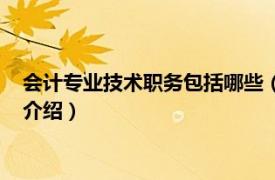 会计专业技术职务包括哪些（会计专业职务有哪些相关内容简介介绍）