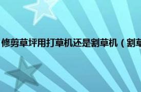 修剪草坪用打草机还是割草机（割草机 用于修剪草坪、植被等的机械工具）