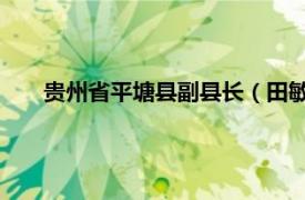 贵州省平塘县副县长（田敏 黔南州平塘县统计局副局长）