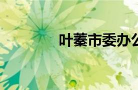 叶蓁市委办公厅调研处处长