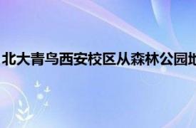 北大青鸟西安校区从森林公园地铁咋样坐车（北大青鸟西安校区）