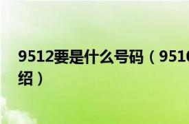 9512要是什么号码（9510212可以回拨吗相关内容简介介绍）