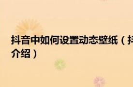 抖音中如何设置动态壁纸（抖音怎么设置动态壁纸相关内容简介介绍）