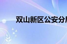 双山新区公安分局招聘（双山新区）