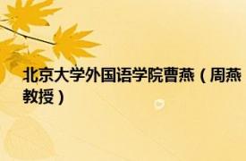 北京大学外国语学院曹燕（周燕 北外中国外语教育研究中心专职研究员、教授）