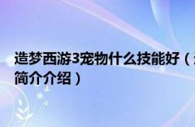 造梦西游3宠物什么技能好（造梦西游3宠物技能有哪些相关内容简介介绍）