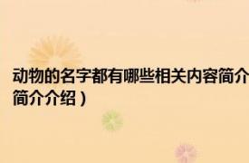 动物的名字都有哪些相关内容简介介绍图片（动物的名字都有哪些相关内容简介介绍）