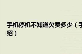 手机停机不知道欠费多少（手机欠费多少会停机相关内容简介介绍）