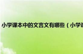 小学课本中的文言文有哪些（小学课本上有哪些文言文相关内容简介介绍）