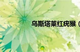 乌斯塔莱红疣猴（乌德宗瓦山红疣猴）