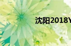 沈阳2018YY粉丝嘉年华