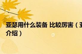 亚瑟用什么装备 比较厉害（亚瑟出什么装备最厉害相关内容简介介绍）