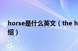 horse是什么英文（the horse是什么牌子相关内容简介介绍）