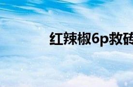 红辣椒6p救砖包（红辣椒6P）