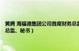 黄腾 海福德集团公司首席财务总监、秘书（黄腾 海福德集团公司首席财务总监、秘书）