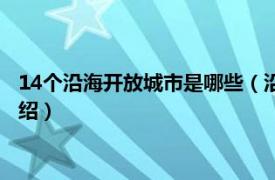 14个沿海开放城市是哪些（沿海开放的14个城市相关内容简介介绍）