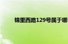 锦里西路129号属于哪个街道（锦里西路129号）