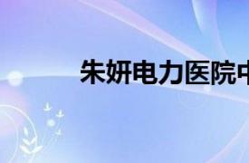 朱妍电力医院中医科副主任医师