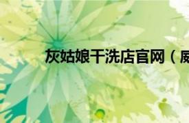 灰姑娘干洗店官网（威海灰姑娘干洗有限公司）