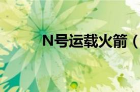 N号运载火箭（黑箭号运载火箭）