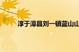 淳于漳县刘一镇蓝山山村河东阳光小学教师张宇