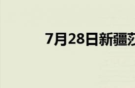 7月28日新疆莎车恐怖袭击事件