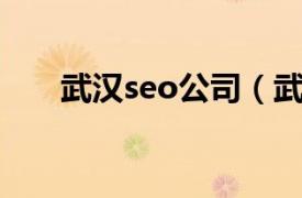 武汉seo公司（武汉好的SEO优化网）