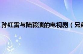 孙红雷与陆毅演的电视剧（兄弟 2004年陆毅、徐静蕾主演电影）