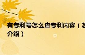 有专利号怎么查专利内容（怎么查专利号是真是假相关内容简介介绍）