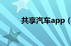 共享汽车app（语音视频共享器）