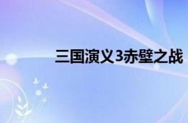 三国演义3赤壁之战（终极三国2-赤壁之战）