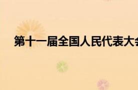 第十一届全国人民代表大会常务委员会第三十一次会议