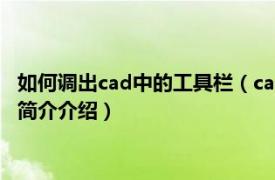 如何调出cad中的工具栏（cad上面的工具栏怎么调出来相关内容简介介绍）