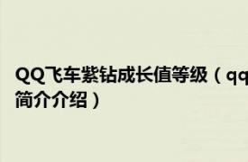 QQ飞车紫钻成长值等级（qq飞车紫钻多少成长值升4级相关内容简介介绍）